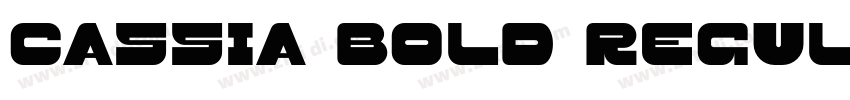 Cassia Bold Regular字体转换